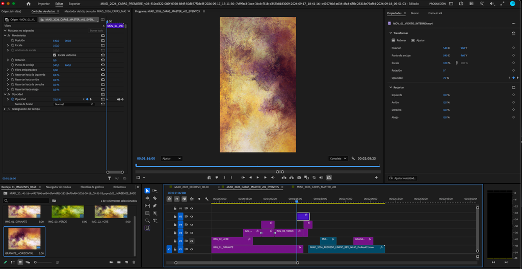 Premiere editing screen showing the burgundy and ochre image at the cut retained in the final edit.
